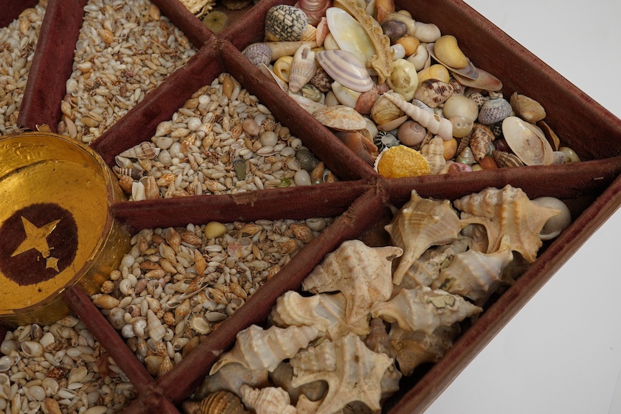 A rare 19th century mariner's box of shells, the mahogany box with cross banding and marquetry lid in the form of a compass, containing a collection of shells and mineral samples on two layers, with lift out tray, dimens